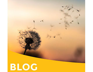 Verbonden ademen – Daphne Smit & Erica Rijnsburger